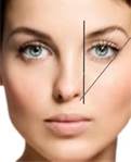 Eyebrow Proportion