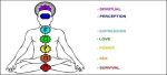 chakraimage