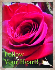 Follow your heart