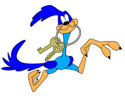 roadrunner keys