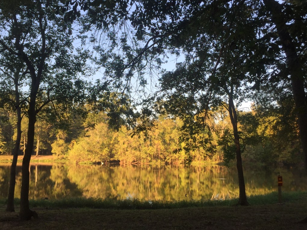 71BB1856-40BA-467F-906F-29C0B90230C0