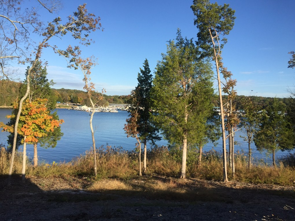 EC1206ED-32F3-4378-80CA-9B6DB404C9F2