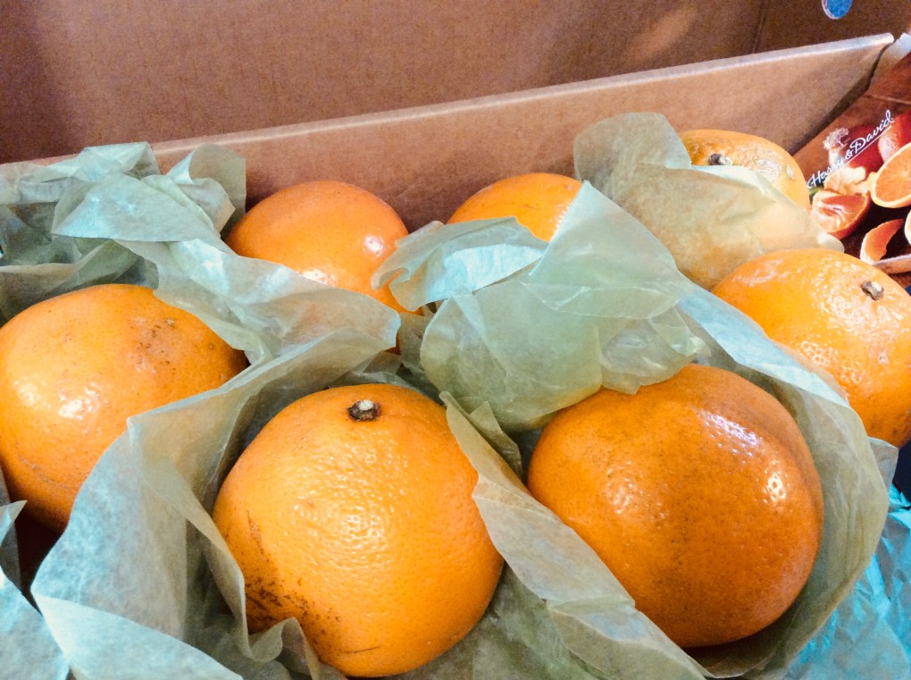 D910D0EA-D6C3-45F2-B658-87322E4CE530